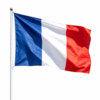 Drapeau de la Russie 3x5 pieds, drapeau national russe en polyester double face pour extérieur, résistant à la décoloration, avec œillets en laiton, décoration de jardin