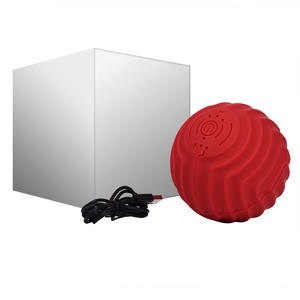 Factory Women <span class=keywords><strong>Ball</strong></span> Masajeador personal Densidad Rodillo de espuma de tamaño de viaje Fitness Masaje Bola especial - Product Image 4