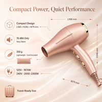 Sèche-cheveux ionique professionnel 2300W avec moteur AC, puissant et silencieux, pour salon, maison, hôtel, design compact