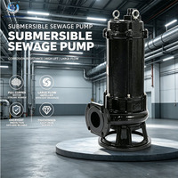 Pompe submersible en acier inoxydable anti-blocage avec broyeur, garantie après-vente de 2 ans pour le traitement des eaux usées