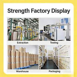 Polvo de Polisacáridos de <span class=keywords><strong>Boletus</strong></span> Edulis de Alta Calidad, Extracto de <span class=keywords><strong>Boletus</strong></span> Edulis, Polvo de Hongo Porcini - Product Image 6