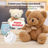 Ornement cadeau personnalisé avec enregistrement vocal, ours en peluche enregistrable de 30 secondes, cadeau souvenir personnalisé en gros, prise en charge OEM