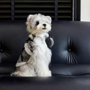 Camiseta Casual de Algodón Suave para Mascotas, Ropa sin Mangas para Perros, Vestido de Lino Ultrafino para Todas las Estaciones, para Maltese <span class=keywords><strong>Yorkshire</strong></span> - Product Image 3