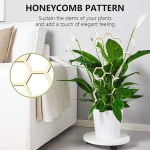 <span class=keywords><strong>Support</strong></span> de plante grimpante en <span class=keywords><strong>bois</strong></span> moderne de 30 cm, cadre créatif pour plantes grimpantes, <span class=keywords><strong>support</strong></span> de fleurs, <span class=keywords><strong>support</strong></span> de pot de jardin, poteaux de soutien fixes - Product Image 5