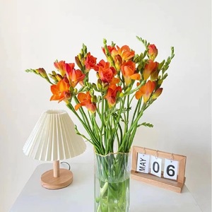 Yunnan Home Flowers 'Festive Christmas Basket Bouquet de cheveux raides pour le nouvel an Thanksgiving en gros pour la Saint-Valentin - Product Image 6