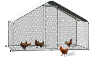 Stylo poulailler TUFF pour canards/lapins Roues en treillis métallique métallique résistant aux prédateurs Facile à déplacer Conception moderne et durable - Product Image 2