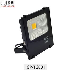 Projecteur LED Igawa 30W pour extérieur, IP65, projecteur de stade - Product Image 5