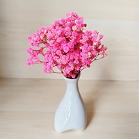 Buket Bunga Gypsophila Kering Alami Grosir, Buket Bunga Babysbreath Mini Awet untuk Rangkaian Bunga