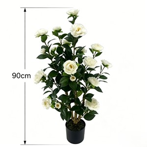Camélia blanc neige élégant et délicat, aux pétales volumineux et superposés, idéal pour la décoration de banquets, les vitrines, les chambres et les jardins. - Product Image 2