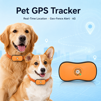 Rastreador de Mascotas GPS en Tiempo Real, IP67, Geocerca Magnética, Compatible con Android/PC, Bajo Consumo, Batería de 3 Años de Duración, para Perros, Gatos y Conejos