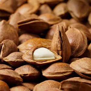 Amandes décortiquées de haute qualité certifiées ISO, petites, blanches, grandes, spécialités, fruits secs, noix grillées, snacks pelés à la main, nouvellement ouvertes - Product Image 4