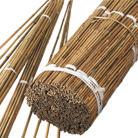 Mini poteaux et tuteurs en bambou naturel Tonkin, droits et secs, de 60 cm