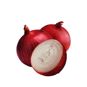 Export Fresh Onions In Large Quantities Red Onions Yellow Onions Of High Quality At Best Price