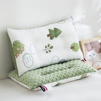 Coussin Granulaire 3D Dessin Animé Pois pour Enfants, Livraison Gratuite, 30x50cm/40x60cm, Âge 0-12 Ans, Coussin de Sieste Bébé et Étudiant