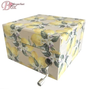 Music Box Mechanism Musical Music Box Mechanism Hand Crank Music Box Mechanism Children Musical Storage Box Summer Music Boxes