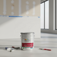Primaire extérieur anti-alcali de qualité supérieure, résistance supérieure à l'efflorescence alcaline, forte adhérence pour maçonnerie et plaques de plâtre
