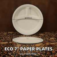 Assiettes jetables en bagasse de 9 pouces, écologiques, légères, compatibles micro-ondes et biodégradables pour le camping (vente en gros)