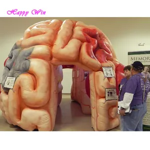 אטרקטיבי ענק מתנפח מוח מותאם מודל מתנפח איבר מוח דגם לתצוגה