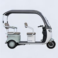 Triciclo Eléctrico para Adultos, 500W, Carrocería Abierta, 3 Pasajeros, para Paseos en el Parque y Picnic