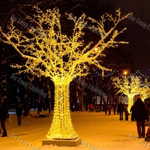 Lumière LED transparente en forme d'arbre créant un effet d'ombre superposée pour la décoration de paysage de Noël nocturne - Product Image 5
