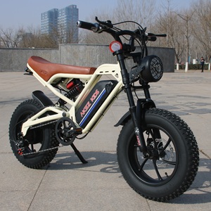 USA Lager 16 Zoll Lithium-Akku 36V Kinder-Elektro-Fatbike 350W für 8-jährige Kinder – Offroad E-Bike - Product Image 1