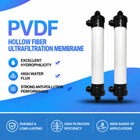 Module de membrane UF en PVDF de type colonne OEM personnalisé, fibre creuse 4/8/10 pouces 5000 L/heure pour équipement de traitement de l'eau potable