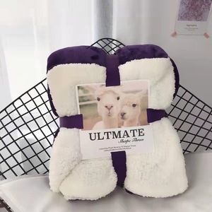 Promozione a buon mercato caldo morbido Raschel coperte di visone doppio strato coperta di lana di agnello trapunta coperta per auto per bambini - Product Image 5