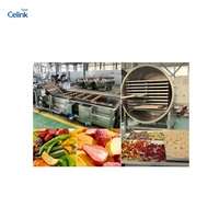 Vriesdroogmachine 50kg voor fruit, groenten, chips, snoep, huisdiertreats en instant koffieproductie