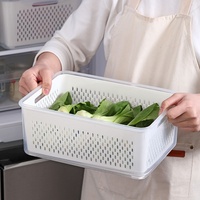 Geïndividualiseerde plastic koelkast afvoer-afgesloten opbergbox - trendy draagbare grote capaciteit groente- en fruitbewaarbox