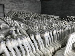 中国领先制造直接配合排气催化转化器适合北汽SENOVA D70 X65催化剂 - Product Image 3