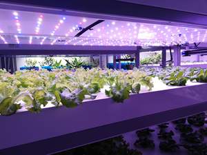 Invernadero agrícola Hidroponía Granja Sistema de <span class=keywords><strong>cultivo</strong></span> Gabinete Inteligente <span class=keywords><strong>Interior</strong></span> Vertical Grow Container - Product Image 6