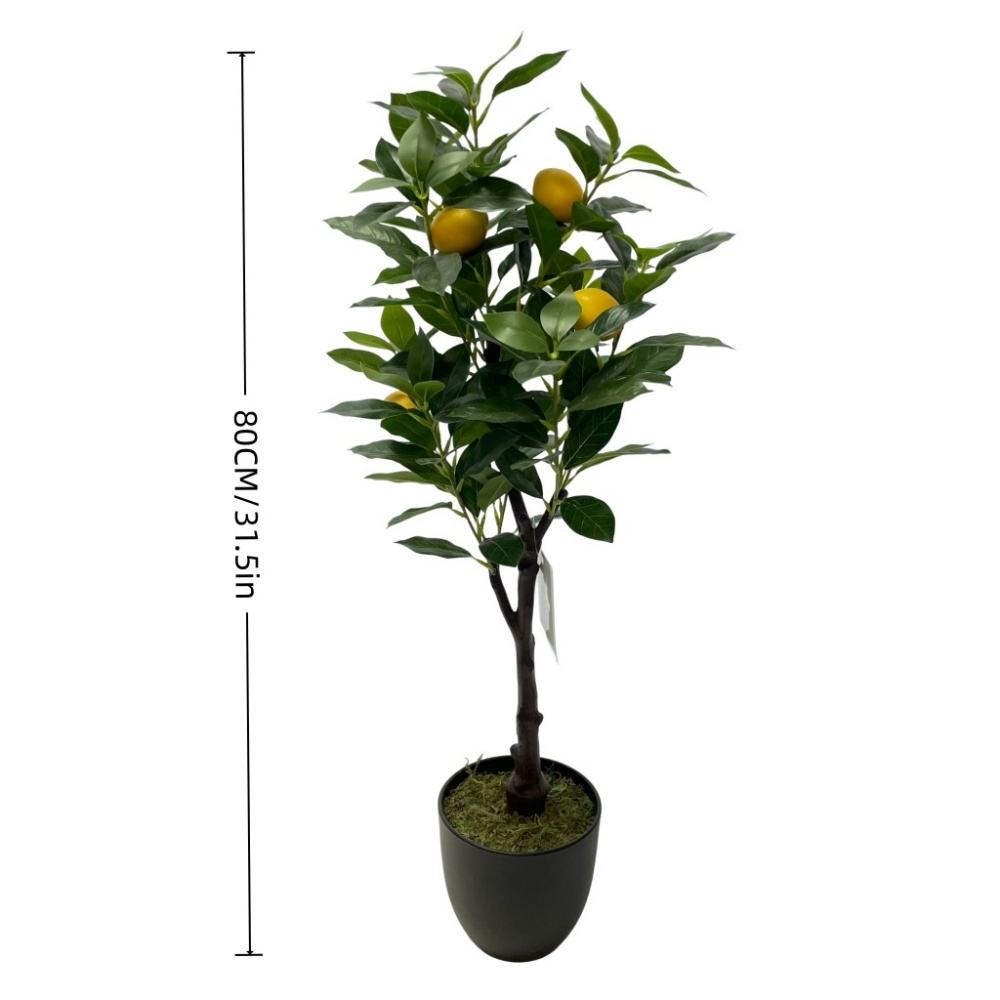 XY2504-2664 80ซม