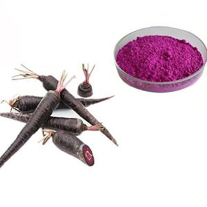 Poudre de carottes de haute pureté, nouvelle production de Richtek, poudre de fibres de carottes, pigment, poudre de carottes biologique, prix d'usine - Product Image 5