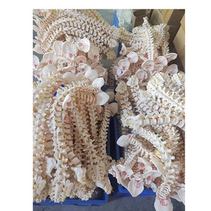 Modelo de Esqueleto Humano MAXCARE MAC-YJ111 de Alta Calidad al por Mayor, Columna Lumbar de 5 Secciones, Flexible y Desmontable, con Nervios, para Escuelas de Medicina - Product Image 2