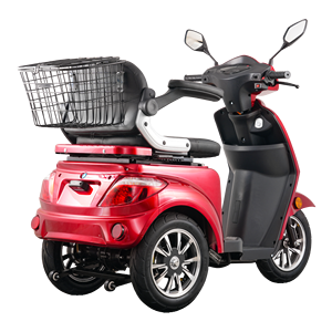 สกู๊ตเตอร์ 3 ล้อ 2 ที่นั่ง 60V 1000W มอเตอร์ทรงพลัง ระยะทางไกล - Product Image 3