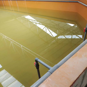 Pintura de poliurea de dos partes para estanque de peces y camarones, revestimiento impermeable - Product Image 2