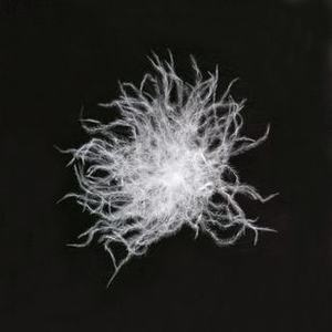 Chất lượng cao <span class=keywords><strong>90</strong></span>/10 vịt xuống eiderdown nguyên mẫu cho thoải mái và ấm áp - Product Image 2