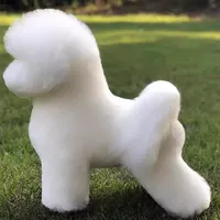 Mannequin d'entraînement pour toilettage de chiens, modèle Teddy Poodle, avec tête remplaçable, corps entier en fourrure synthétique