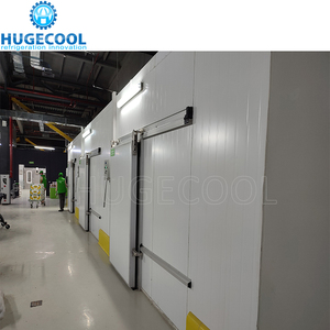 ห้องเย็นขนาดใหญ่ Hugecool สำหรับแช่แข็งแบบเร็ว เหมาะสำหรับมันฝรั่ง เนื้อสัตว์ ปลา ไก่ อาหารทะเล พร้อมชุดอุปกรณ์ห้องเย็นสำหรับขาย - Product Image 4