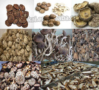 Houtdroogmachine, gemberdroger, fruitdroger, moringa bladdroger, visdroger, dienbladdroger, lage temperatuur droger