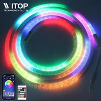 Vente chaude 360 Degrés Circulaire Maille Néon LED Bande Lumineuse Intelligente RGBIC Flexible Silicium Rêve Couleur Corde Bande Lumineuse DC5V WS2812B