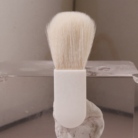 Ensemble de pinceaux de maquillage complet portable de 6 pièces avec miroir pour femmes, mini pinceaux de voyage, cosmétiques utilisés avec du fond de teint