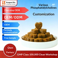 Lécithine pour animaux de compagnie OEM/ODM – Fabrication sur mesure en petites séries – Compléments universels pour la santé des chats et des chiens – Emballage personnalisé – Durée de conservation : 2 ans