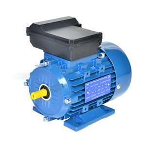 Motor Eléctrico H90 de 2 Polos, Serie YL, Monofásico, 2hp, Inducción - Product Image 1