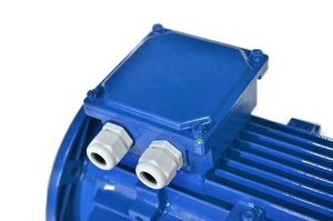 Moteur industriel triphasé AC 1HP-10HP 2/4/6 pôles 380V 50/60Hz 100% fil de cuivre Isolation classe F IP54/IP55 - Product Image 4