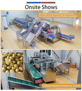 Línea de Procesamiento Industrial Automática de Patatas 1t/h, Máquina Personalizada para Lavar, Pelar, Cortar, Pesar y Empacar Vegetales para Plantas de Procesamiento - Product Image 3