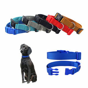 bulk puppy collars