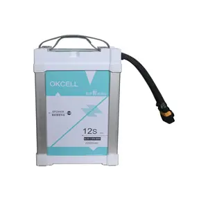 OKCELL 22000mAh 12S 44.4V Smart Batteries AS150U Plug For Plant Protection Agricultural Drone Battery