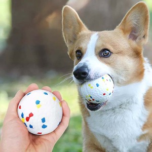 Palla Giocattolo per Cani Resistente ai Morsi, Palla Elastica Solida Anti-Esplosione per Cani Border Collie, Gioco da Masticare per Animali Domestici - Product Image 1