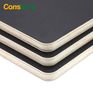 Alta calidad 4x8 12MM 18 <span class=keywords><strong>mm</strong></span> Álamo núcleo película frente madera contrachapada <span class=keywords><strong>precio</strong></span> - Product Image 4